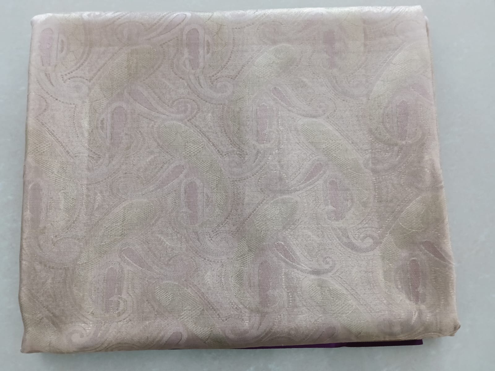 Kanchi Pattu With Mina Kari Border - Image 2